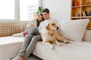 heat pumps energy efficient