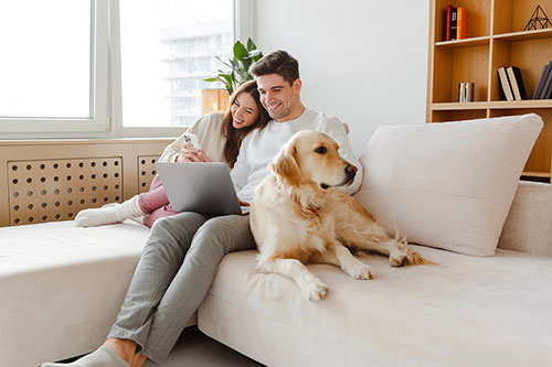 heat pumps energy efficient
