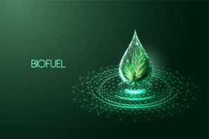 Green droplet with a leaf inside
